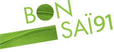 bonsairestaurant.fr